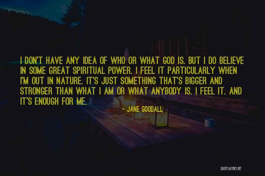 Nature And Spirituality Quotes By Jane Goodall