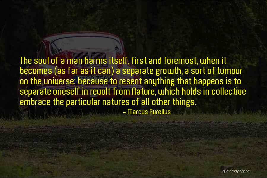 Nature And The Soul Quotes By Marcus Aurelius Nature And The Soul Quotes By Marcus Aurelius