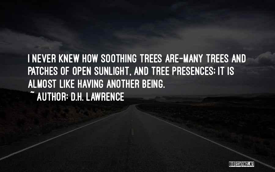 Nature And Trees Quotes By D.H. Lawrence