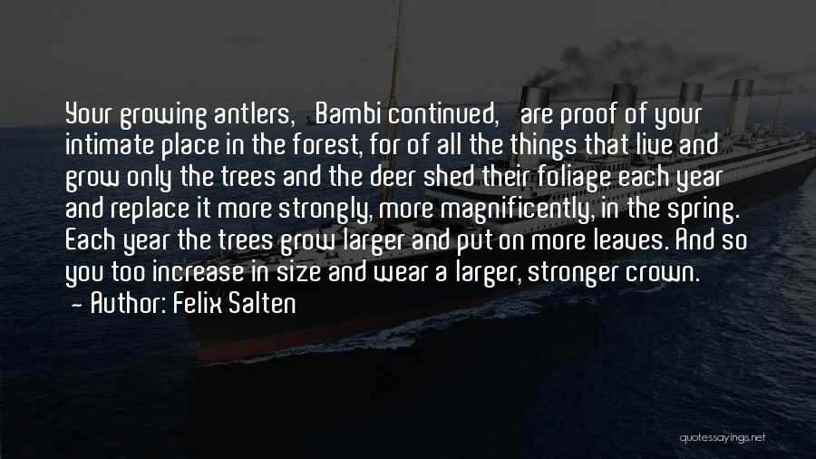 Nature And Trees Quotes By Felix Salten