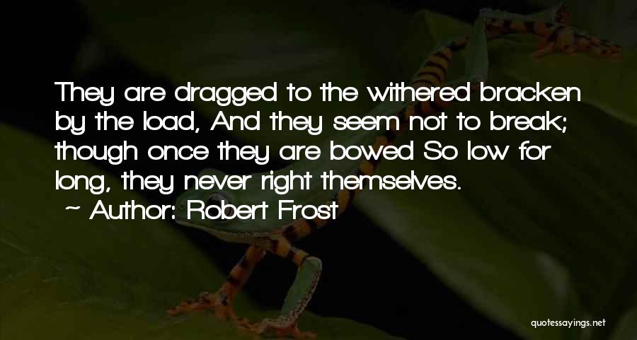 Nature And Trees Quotes By Robert Frost