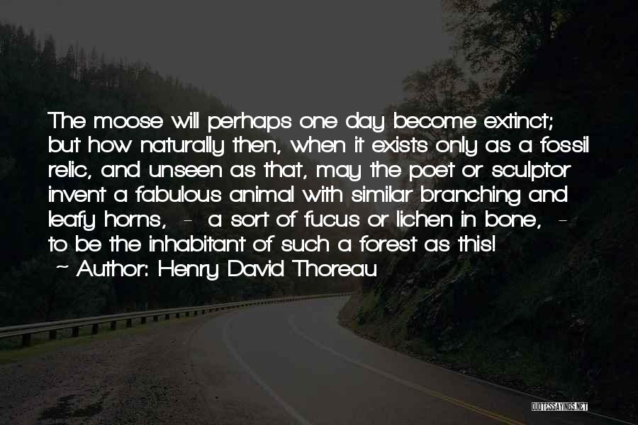 Nature And Wildlife Quotes By Henry David Thoreau