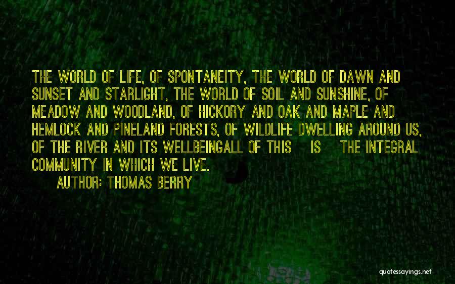 Nature And Wildlife Quotes By Thomas Berry