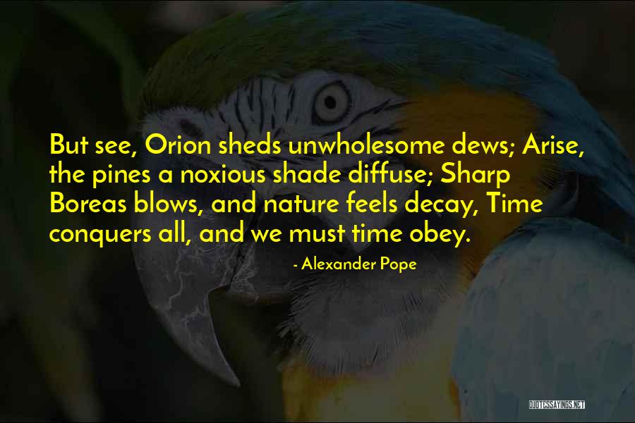 Nature And Winter Quotes By Alexander Pope Nature And Winter Quotes By Alexander Pope