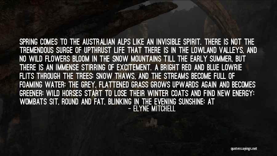 Nature And Winter Quotes By Elyne Mitchell Nature And Winter Quotes By Elyne Mitchell
