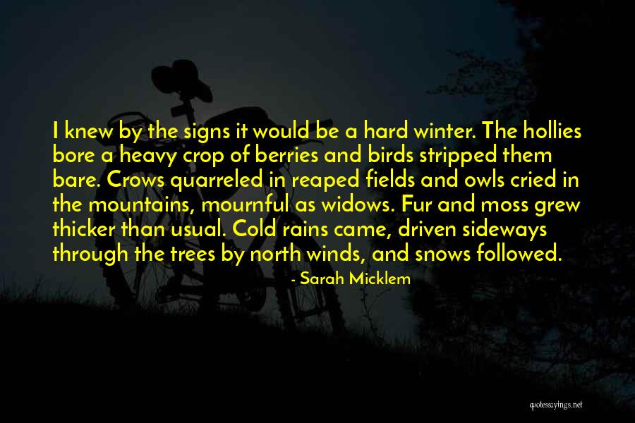 Nature And Winter Quotes By Sarah Micklem Nature And Winter Quotes By Sarah Micklem