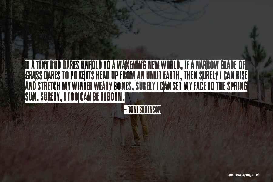 Nature And Winter Quotes By Toni Sorenson Nature And Winter Quotes By Toni Sorenson
