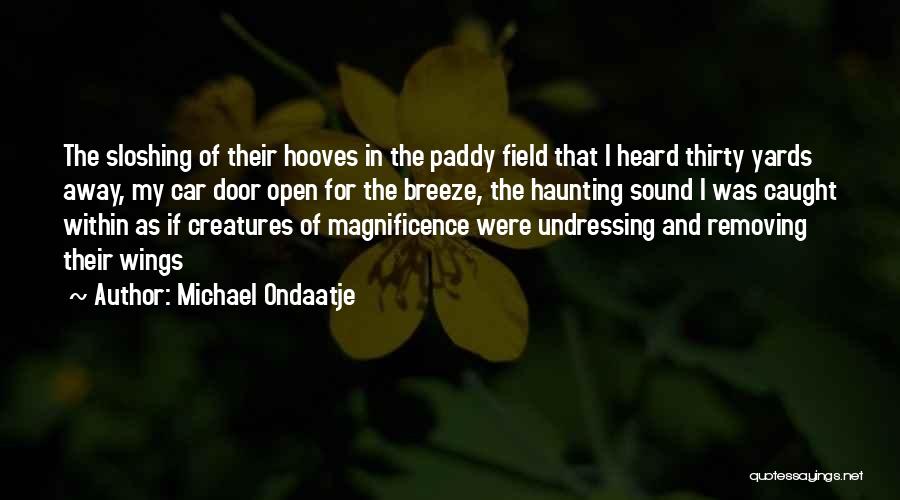 Nature Animals Quotes By Michael Ondaatje