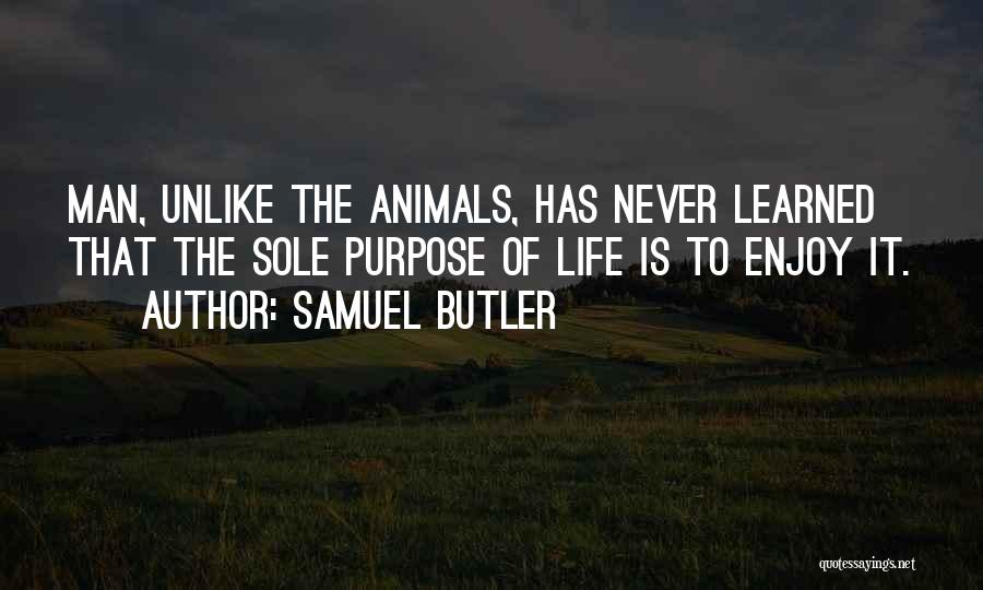 Nature Animals Quotes By Samuel Butler