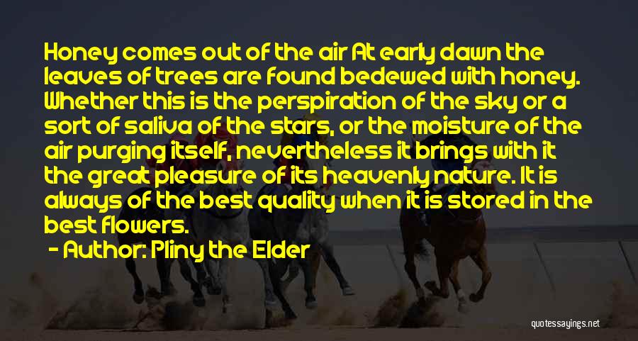 Nature At Its Best Quotes By Pliny The Elder