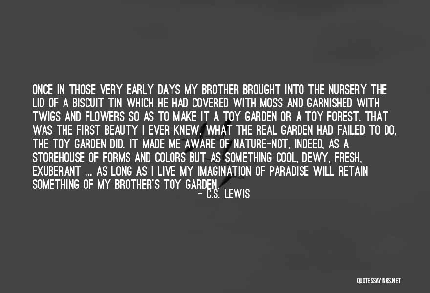 Nature Beauty And Happiness Quotes By C.S. Lewis