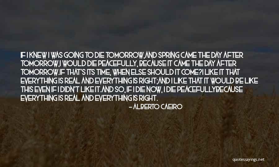 Nature Beauty And Life Quotes By Alberto Caeiro