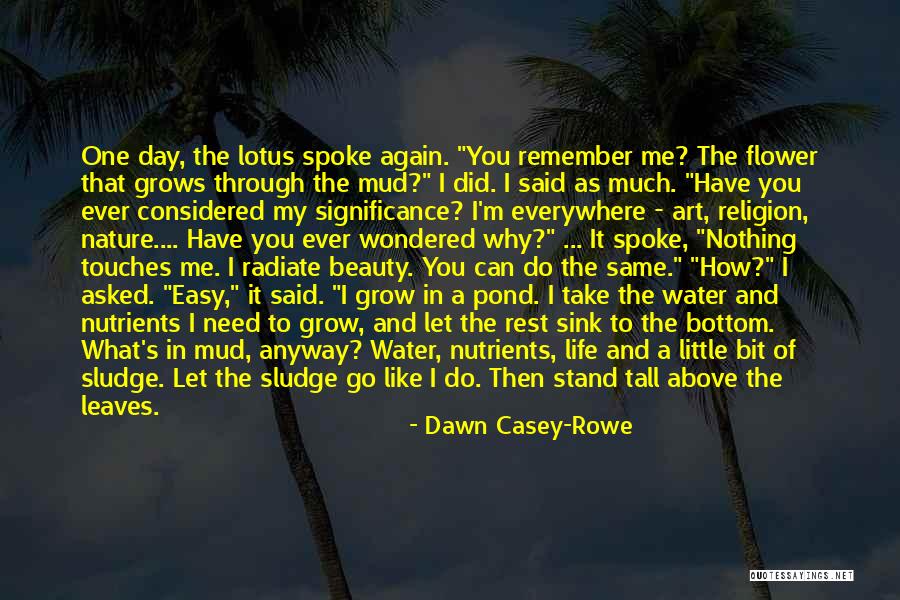 Nature Beauty And Life Quotes By Dawn Casey-Rowe