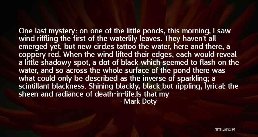 Nature Beauty And Life Quotes By Mark Doty