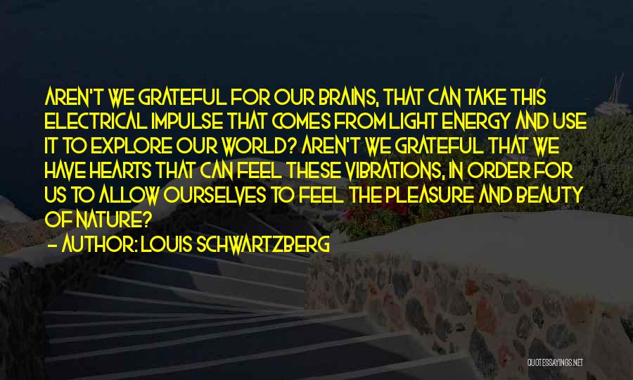 Nature Beauty Gratitude Quotes By Louis Schwartzberg