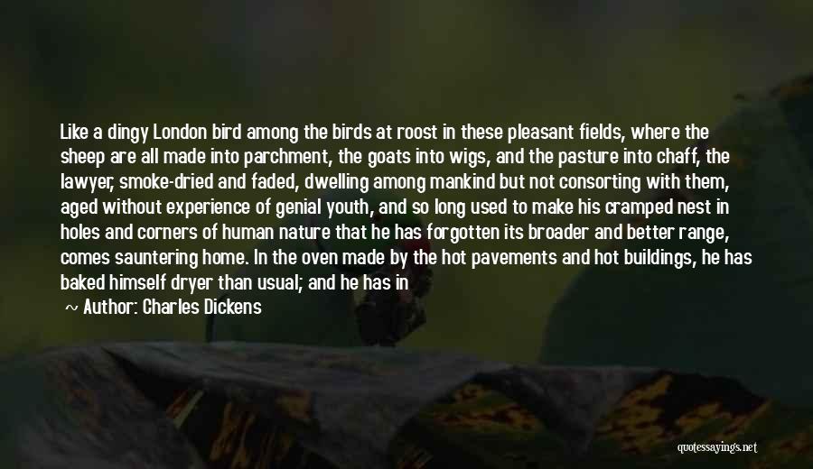 Nature Birds Quotes By Charles Dickens