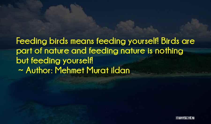 Nature Birds Quotes By Mehmet Murat Ildan