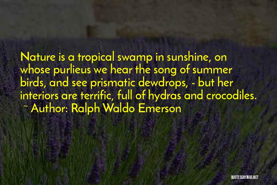 Nature Birds Quotes By Ralph Waldo Emerson