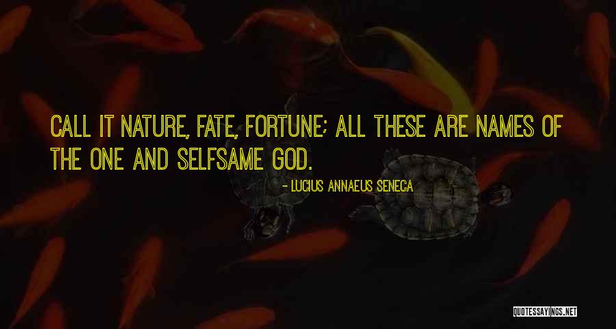 Nature Call Quotes By Lucius Annaeus Seneca Nature Call Quotes By Lucius Annaeus Seneca