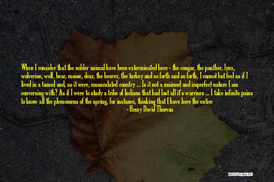 Nature Conservation Quotes By Henry David Thoreau Nature Conservation Quotes By Henry David Thoreau