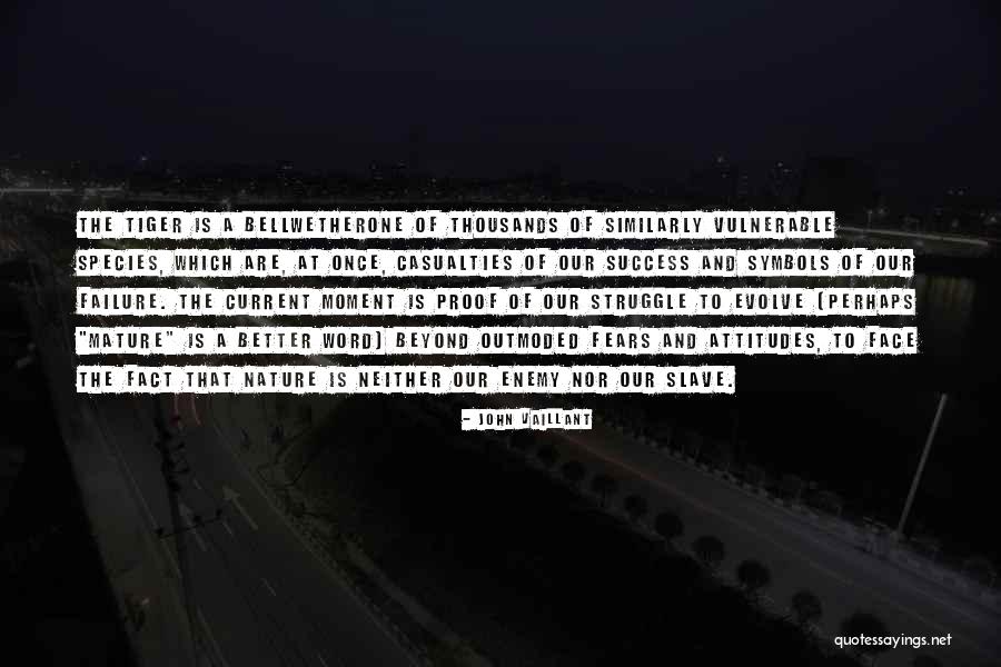 Nature Conservation Quotes By John Vaillant Nature Conservation Quotes By John Vaillant