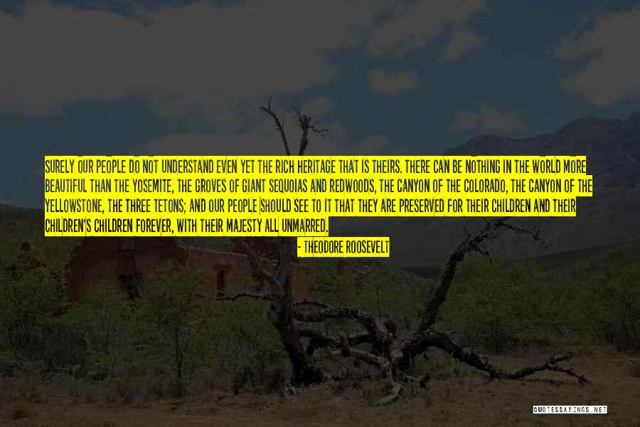 Nature Conservation Quotes By Theodore Roosevelt Nature Conservation Quotes By Theodore Roosevelt