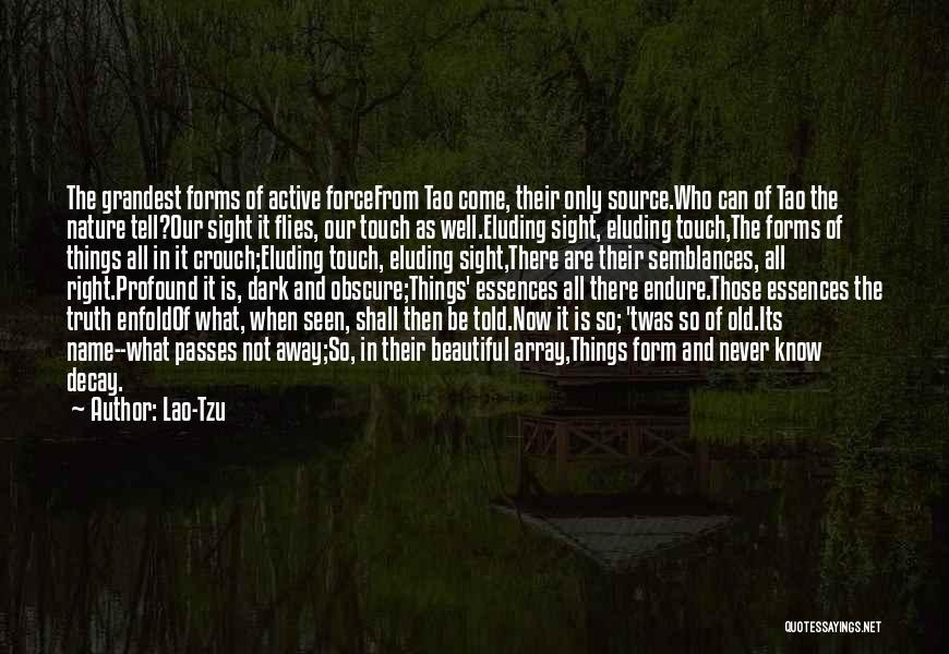 Nature Decay Quotes By Lao-Tzu