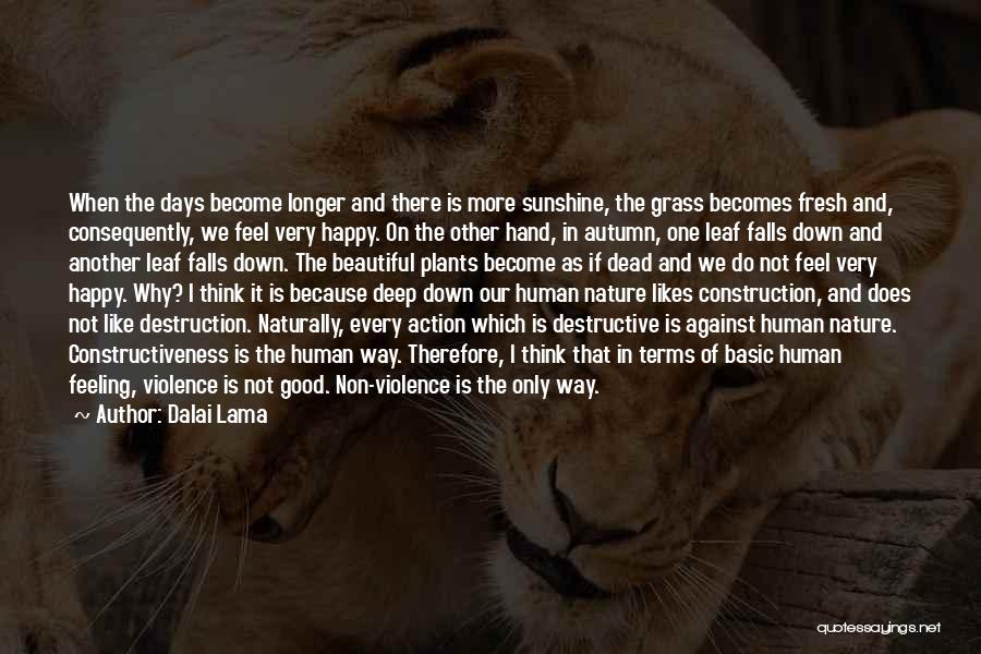 Nature Destruction Quotes By Dalai Lama