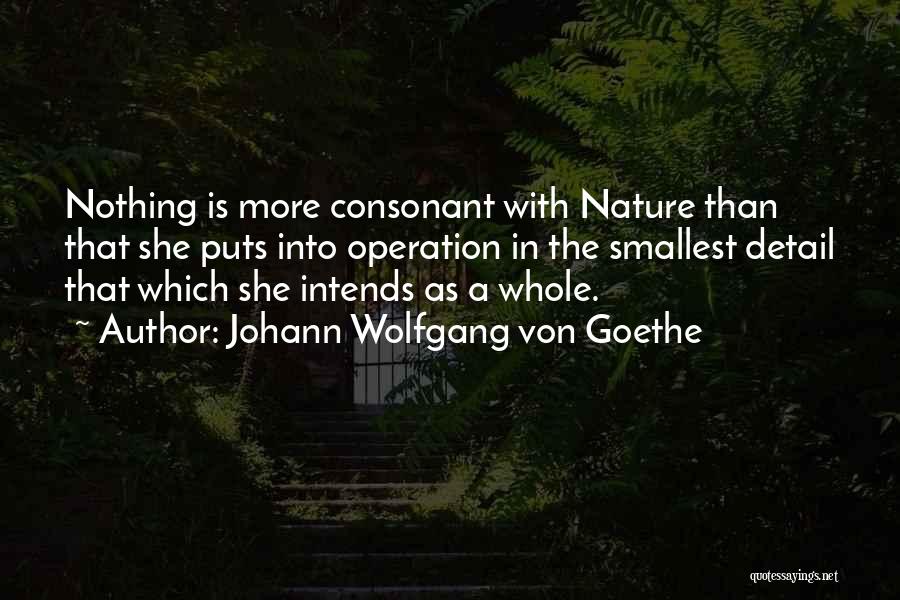 Nature Detail Quotes By Johann Wolfgang Von Goethe