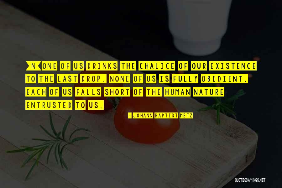 Nature Falls Quotes By Johann Baptist Metz Nature Falls Quotes By Johann Baptist Metz