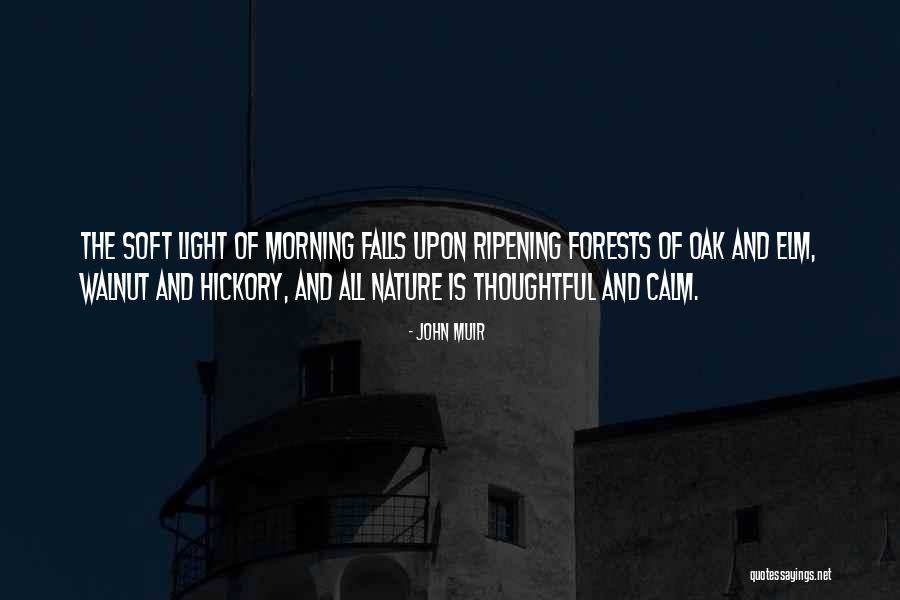 Nature Falls Quotes By John Muir Nature Falls Quotes By John Muir