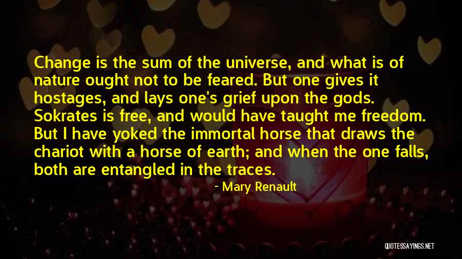 Nature Falls Quotes By Mary Renault Nature Falls Quotes By Mary Renault