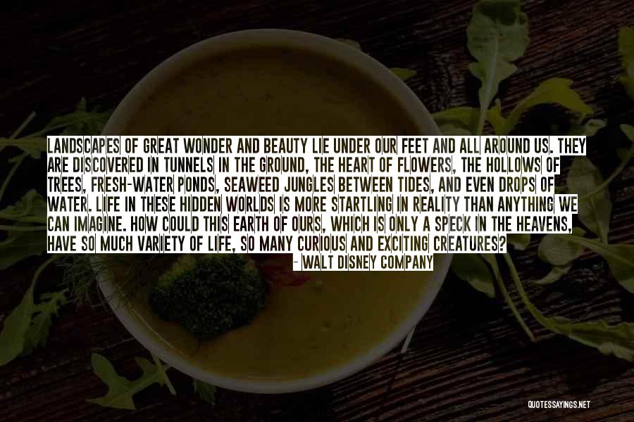 Nature Flowers Beauty Quotes By Walt Disney Company Nature Flowers Beauty Quotes By Walt Disney Company