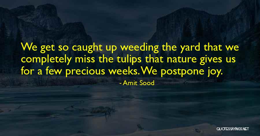 Nature Gives Quotes By Amit Sood Nature Gives Quotes By Amit Sood