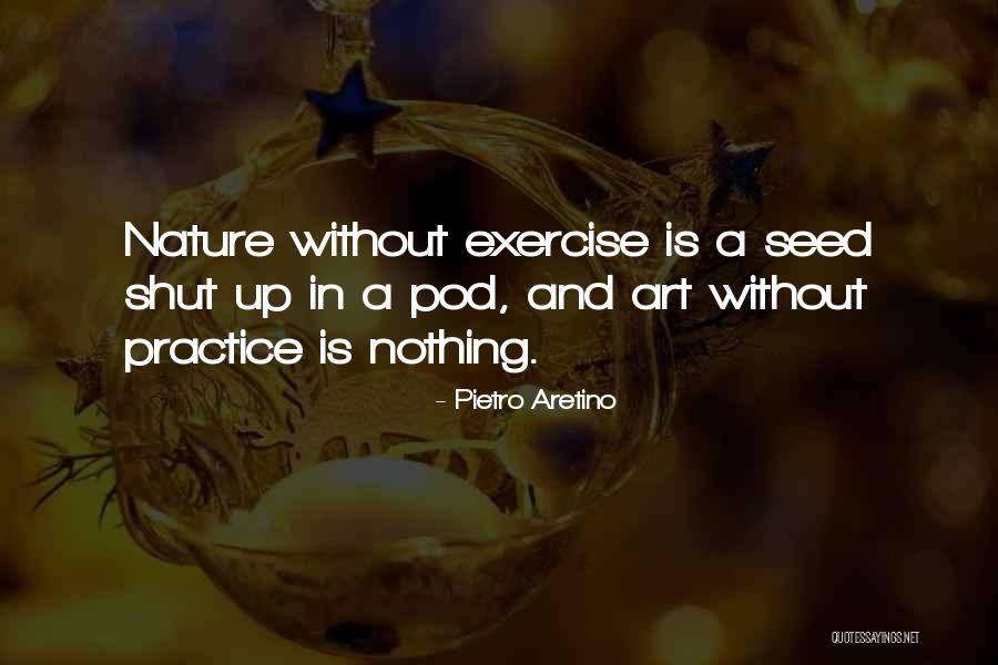Nature In Art Quotes By Pietro Aretino Nature In Art Quotes By Pietro Aretino