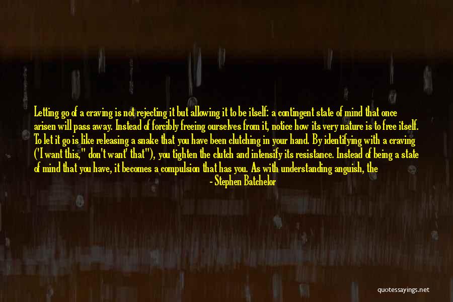 Nature In As You Like It Quotes By Stephen Batchelor Nature In As You Like It Quotes By Stephen Batchelor