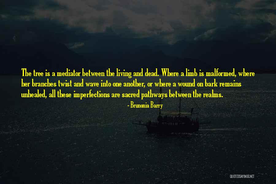 Nature Is Sacred Quotes By Brunonia Barry Nature Is Sacred Quotes By Brunonia Barry