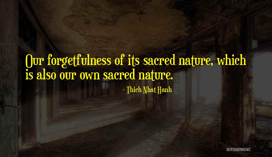 Nature Is Sacred Quotes By Thich Nhat Hanh Nature Is Sacred Quotes By Thich Nhat Hanh