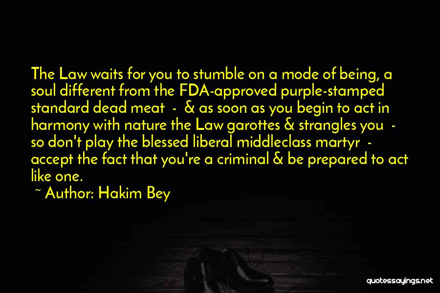 Nature Law Quotes By Hakim Bey