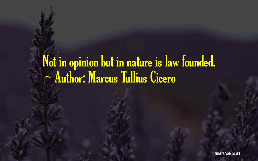 Nature Law Quotes By Marcus Tullius Cicero