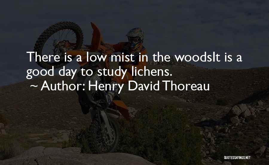 Nature Mist Quotes By Henry David Thoreau