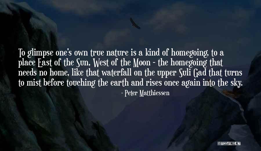 Nature Mist Quotes By Peter Matthiessen