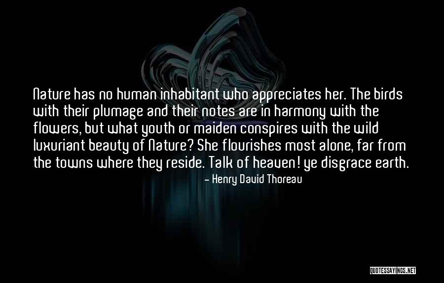 Nature Notes Quotes By Henry David Thoreau Nature Notes Quotes By Henry David Thoreau