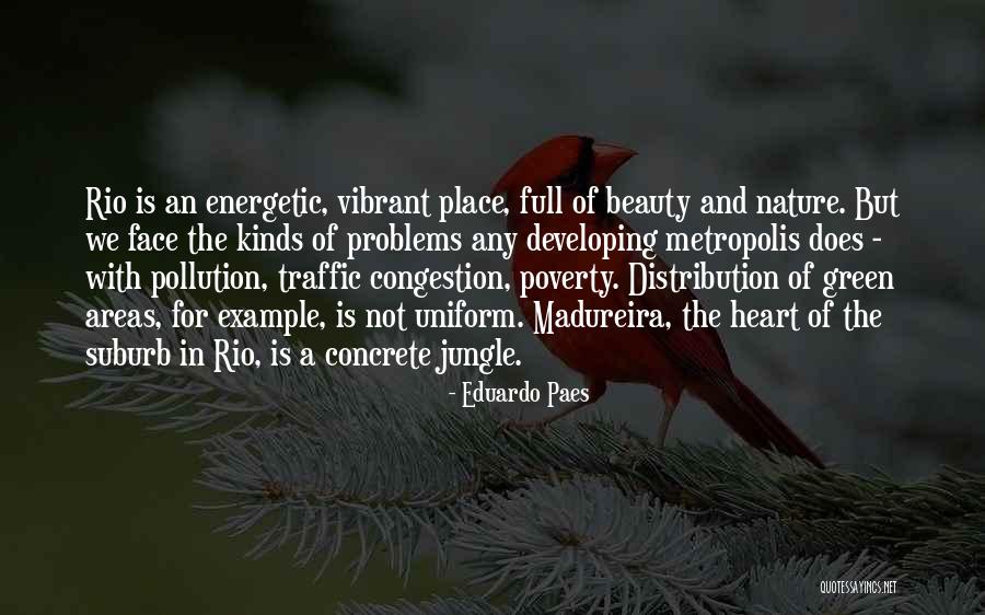 Nature Of Beauty Quotes By Eduardo Paes