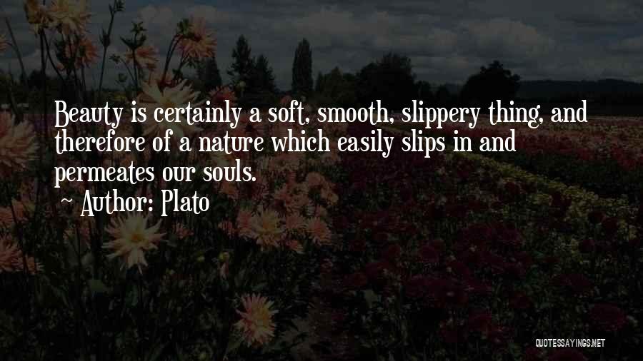 Nature Of Beauty Quotes By Plato