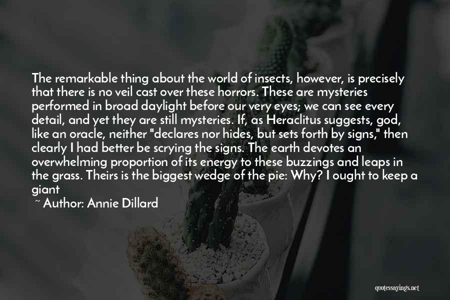 Nature Of God Quotes By Annie Dillard