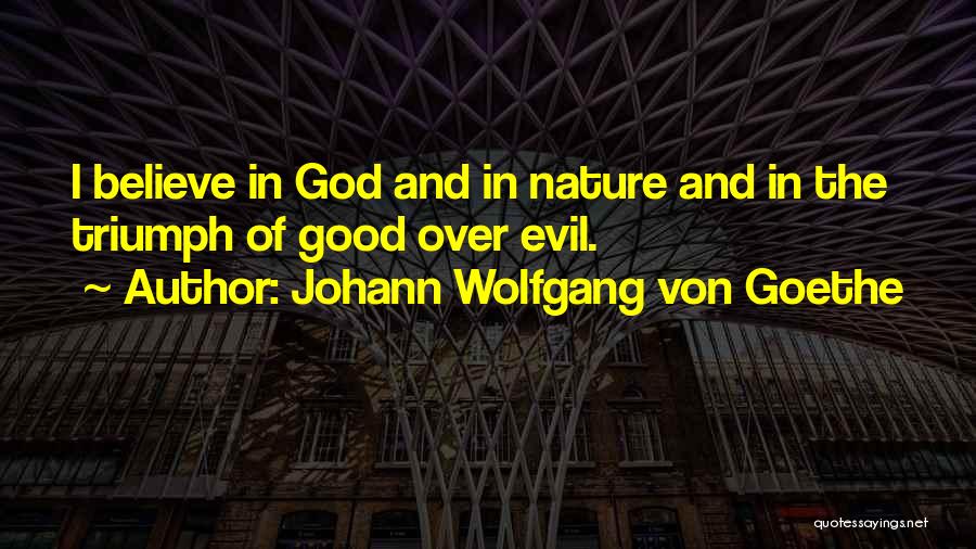 Nature Of Good And Evil Quotes By Johann Wolfgang Von Goethe