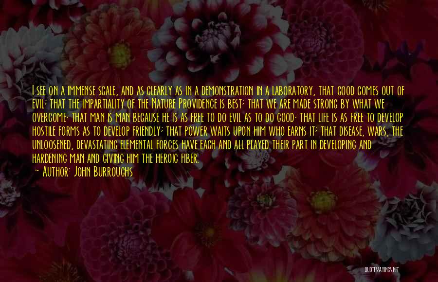 Nature Of Good And Evil Quotes By John Burroughs
