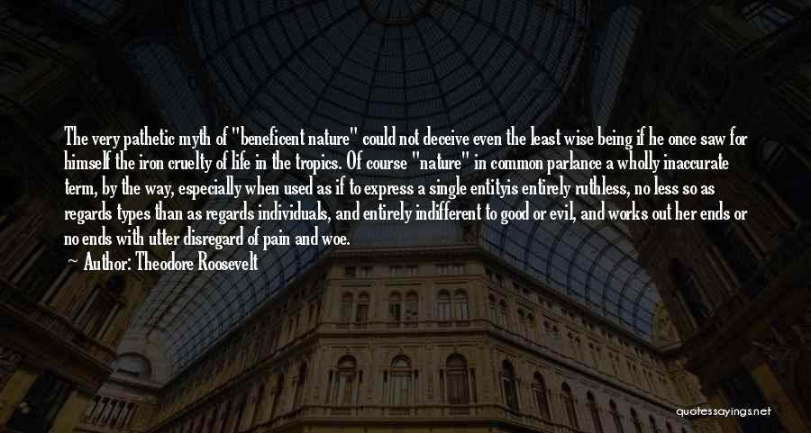 Nature Of Good And Evil Quotes By Theodore Roosevelt