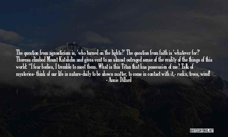 Nature Of Things Quotes By Annie Dillard